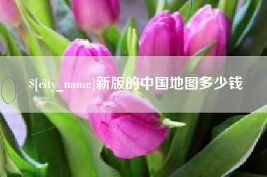 济宁新版的中国地图多少钱