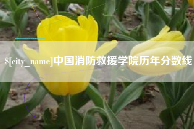 济宁中国消防救援学院历年分数线