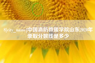 济宁中国消防救援学院山东2020年录取分数线是多少