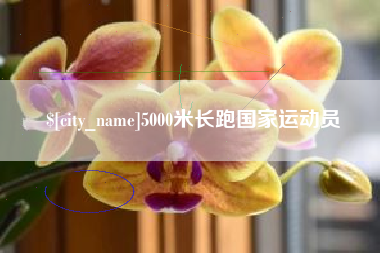 济宁5000米长跑国家运动员