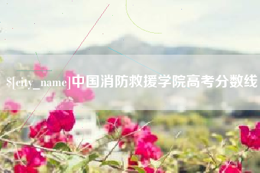 济宁中国消防救援学院高考分数线