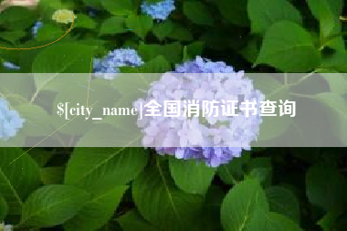 济宁全国消防证书查询