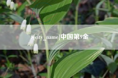 济宁中国第9金