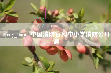济宁中国消防官网中小学消防公开课