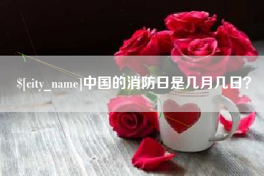 济宁中国的消防日是几月几日？
