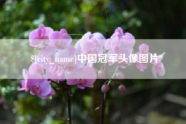 济宁中国冠军头像图片