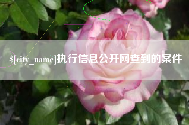 济宁执行信息公开网查到的案件