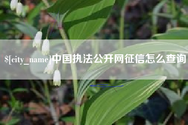 济宁中国执法公开网征信怎么查询