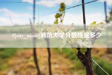 济宁消防大学分数线是多少
