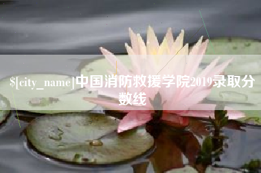 济宁中国消防救援学院2019录取分数线