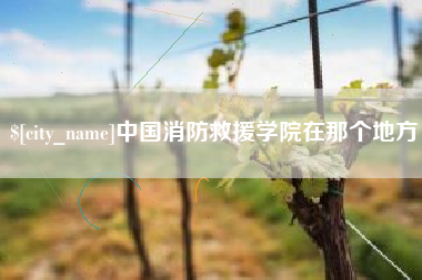济宁中国消防救援学院在那个地方