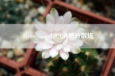 济宁2021消防分数线