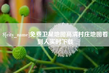 济宁免费卫星地图高清村庄地图看到人实时下载