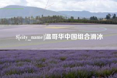 济宁温哥华中国组合滑冰