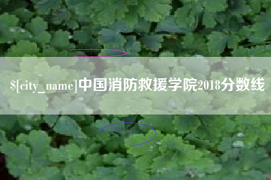济宁中国消防救援学院2018分数线