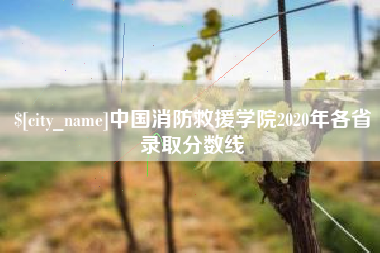 济宁中国消防救援学院2020年各省录取分数线