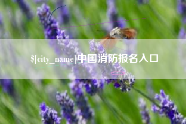 济宁中国消防报名入口
