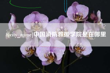 济宁中国消防救援学院是在哪里