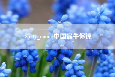 济宁中国最牛保镖