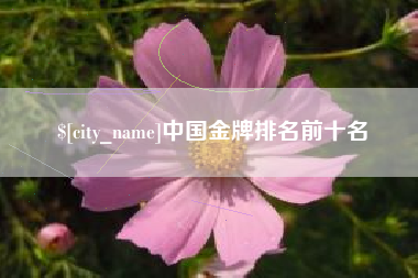济宁中国金牌排名前十名