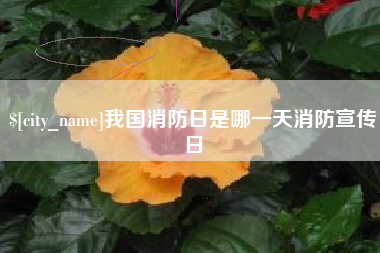 济宁我国消防日是哪一天消防宣传日