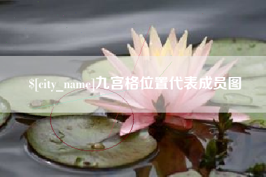 济宁九宫格位置代表成员图