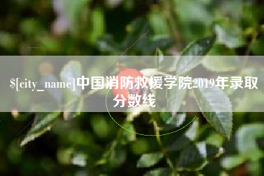 济宁中国消防救援学院2019年录取分数线