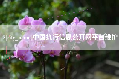 济宁中国执行信息公开网平台维护