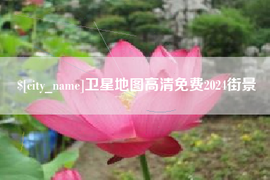 济宁卫星地图高清免费2024街景