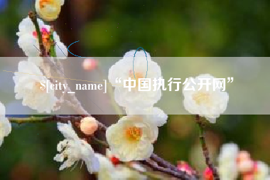 济宁“中国执行公开网”