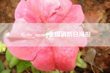 济宁全国消防日海报