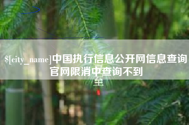 济宁中国执行信息公开网信息查询官网限消中查询不到