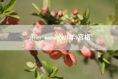 济宁2021年9宫格