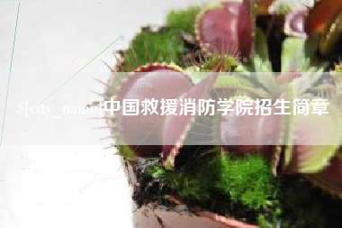 济宁中国救援消防学院招生简章