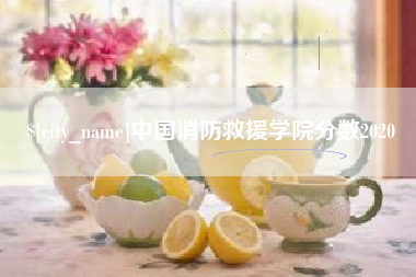 济宁中国消防救援学院分数2020