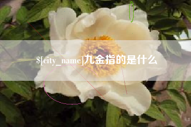 济宁九金指的是什么