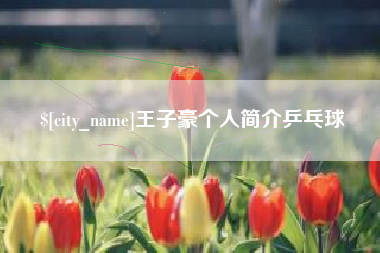 济宁王子豪个人简介乒乓球