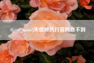 济宁失信被执行官网查不到