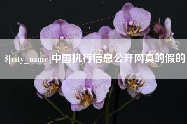 济宁中国执行信息公开网真的假的