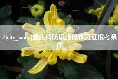 济宁重庆消防设施操作员证报考条件