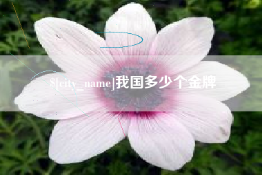 济宁我国多少个金牌