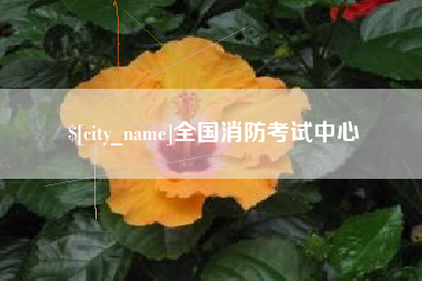 济宁全国消防考试中心