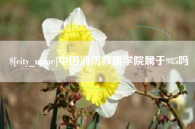 济宁中国消防救援学院属于985吗
