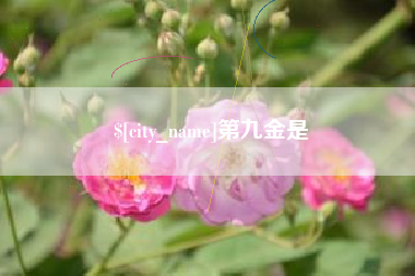济宁第九金是