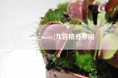 济宁九宫格分布图