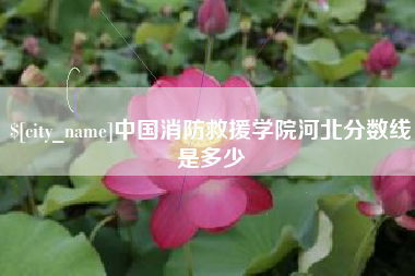 济宁中国消防救援学院河北分数线是多少