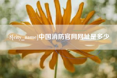 济宁中国消防官网网址是多少