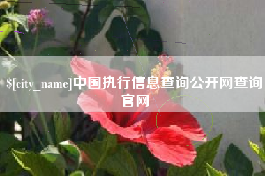 济宁中国执行信息查询公开网查询官网