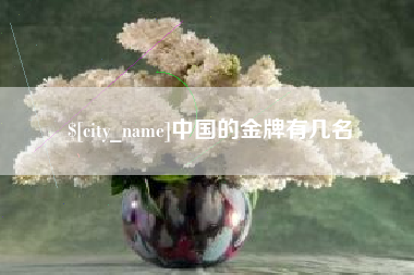济宁中国的金牌有几名