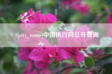 济宁中国执行网公开查询